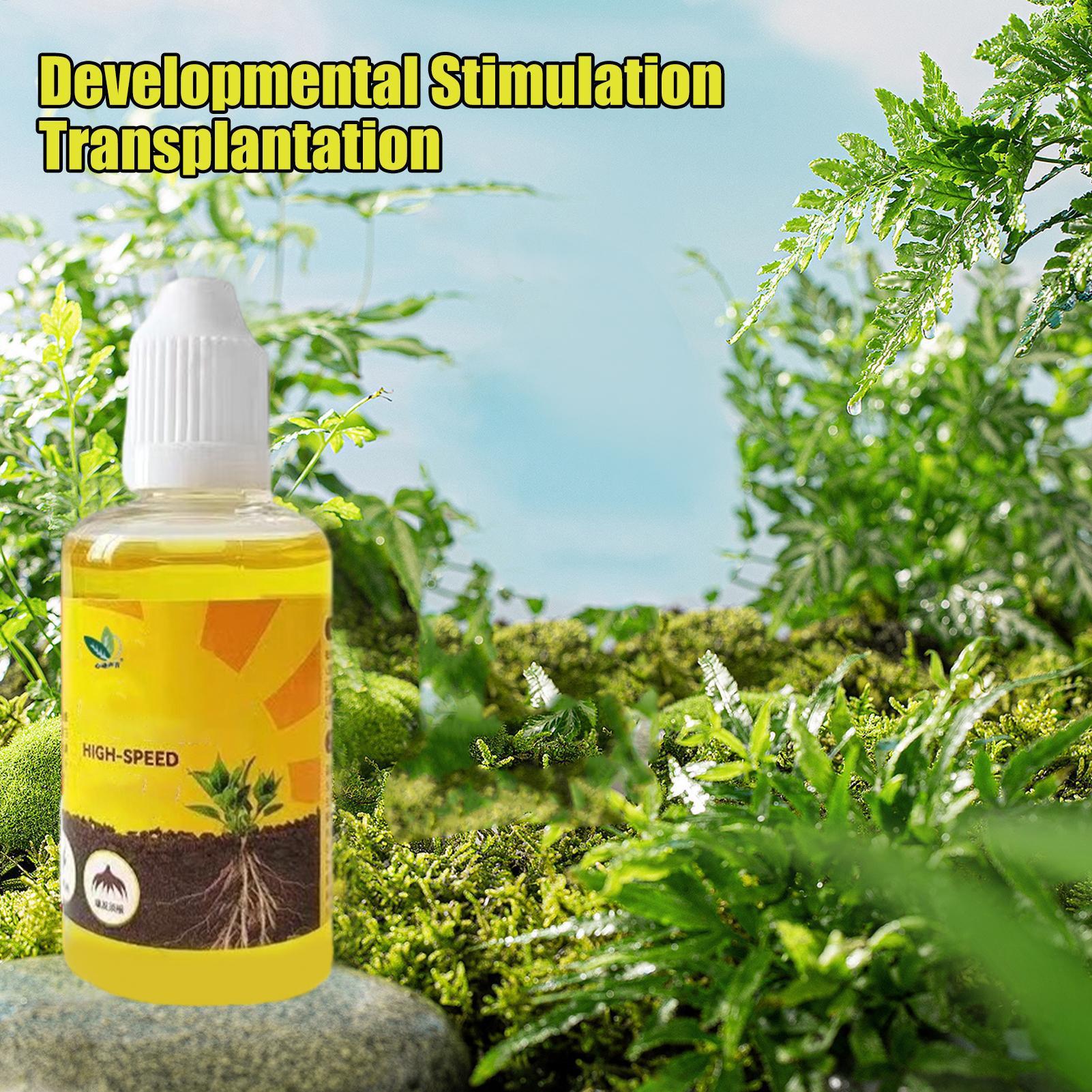 Root Stimulator Liquid - Płyn do Rewitalizacji Roślin 50ml Nawóz